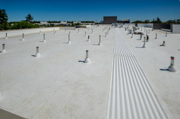 Best Sheet Metal Roofing  in Lake Tansi, TN